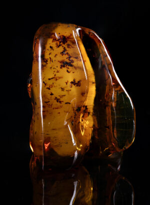 AMBER STONE “ INSECT INCLUSION”